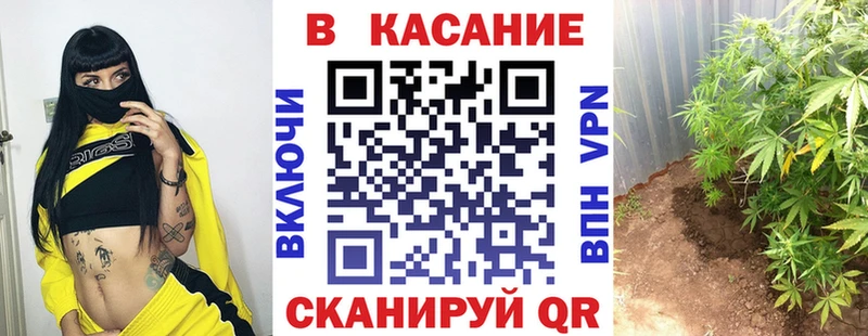 Как найти наркотики Балахна LSD-25 A PVP МЕТАДОН АМФ Меф Каннабис Кокаин Гашиш Псилоцибиновые грибы