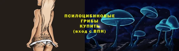 МДПВ Аркадак