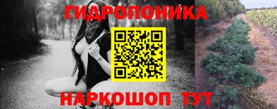 кокс Аргун