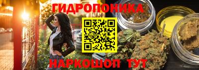 прущие крисы Апшеронск